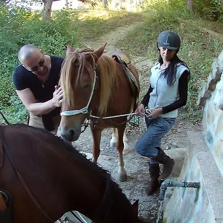 Vendégház Village House Friends Of The Horses