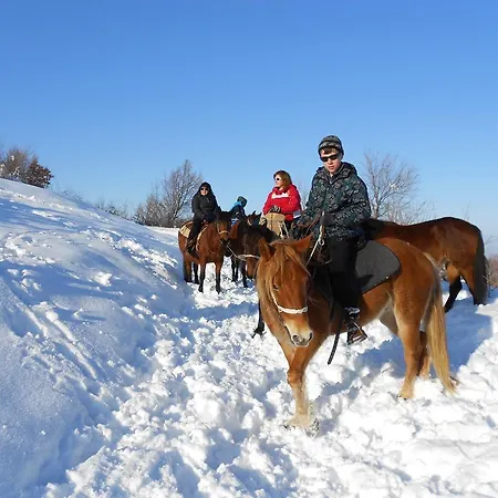 Village House Friends Of The Horses Patalenica