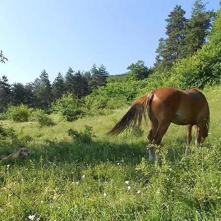 Vendégház Village House Friends Of The Horses Patalenica