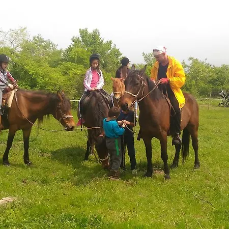 Village House Friends Of The Horses Vendégház Patalenica