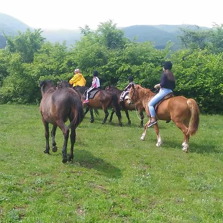 Vendégház Village House Friends Of The Horses Patalenica
