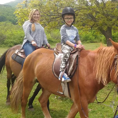 Village House Friends Of The Horses *